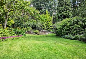 Optimiser l'expérience du jardin à Chenac-Saint-Seurin-d'Uzet